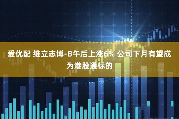 爱优配 维立志博-B午后上涨6% 公司下月有望成为港股通标的