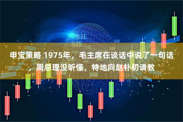 申宝策略 1975年，毛主席在谈话中说了一句话，周总理没听懂，特地向赵朴初请教