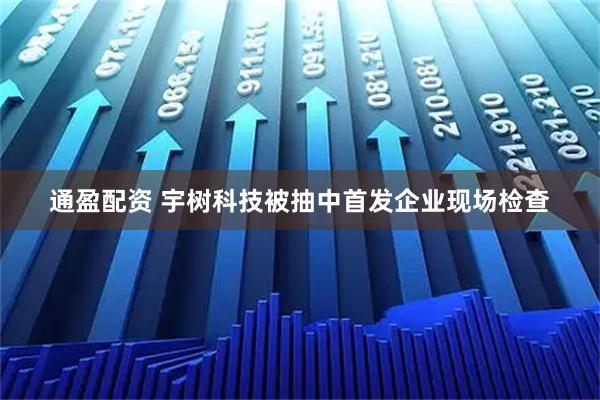 通盈配资 宇树科技被抽中首发企业现场检查