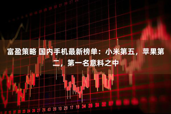 富盈策略 国内手机最新榜单：小米第五，苹果第二，第一名意料之中