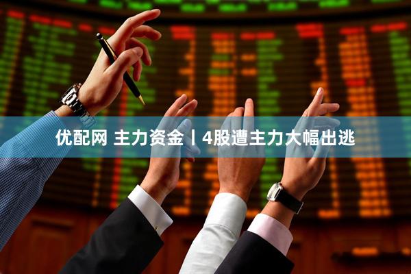 优配网 主力资金丨4股遭主力大幅出逃