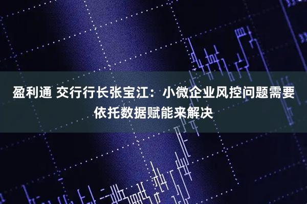 盈利通 交行行长张宝江：小微企业风控问题需要依托数据赋能来解决