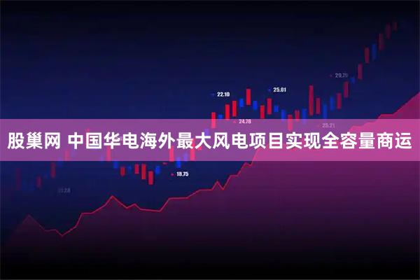 股巢网 中国华电海外最大风电项目实现全容量商运