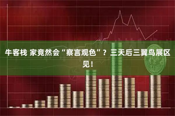 牛客栈 家竟然会“察言观色”?三天后三翼鸟展区见!