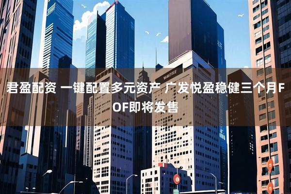 君盈配资 一键配置多元资产 广发悦盈稳健三个月FOF即将发售