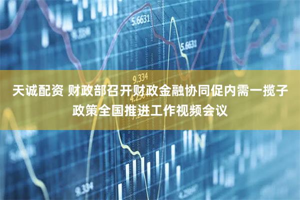 天诚配资 财政部召开财政金融协同促内需一揽子政策全国推进工作视频会议