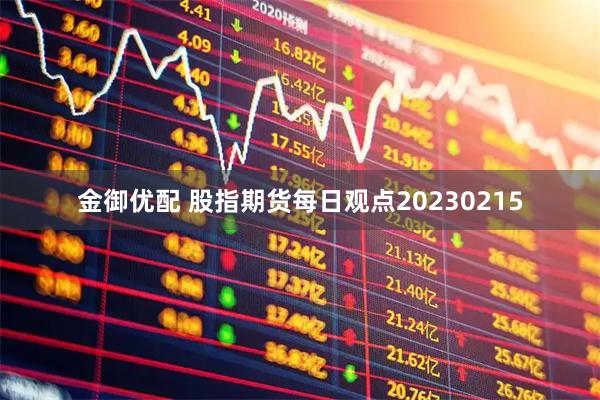 金御优配 股指期货每日观点20230215
