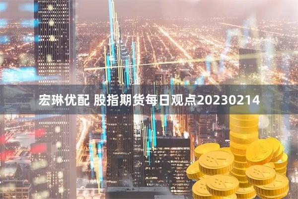 宏琳优配 股指期货每日观点20230214