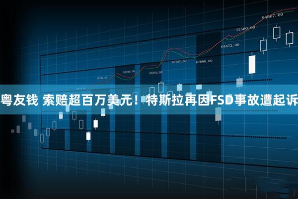 粤友钱 索赔超百万美元！特斯拉再因FSD事故遭起诉