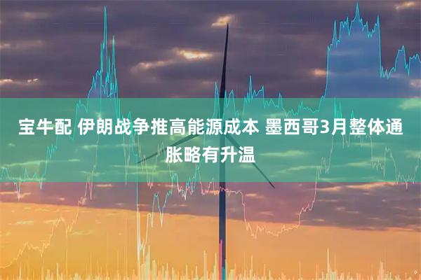 宝牛配 伊朗战争推高能源成本 墨西哥3月整体通胀略有升温