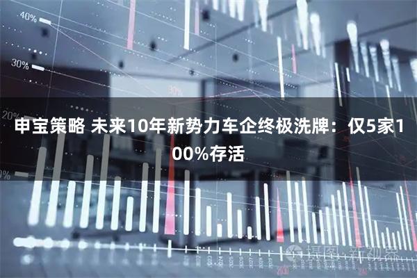 申宝策略 未来10年新势力车企终极洗牌:仅5家100%存活