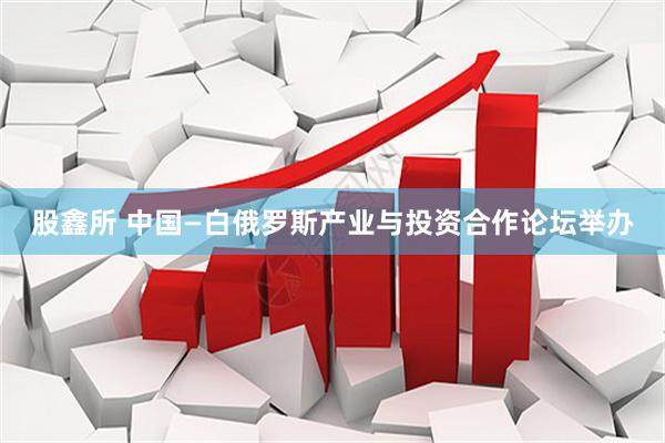 股鑫所 中国—白俄罗斯产业与投资合作论坛举办