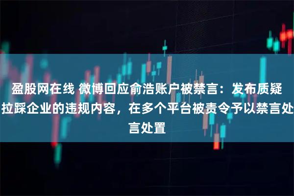 盈股网在线 微博回应俞浩账户被禁言：发布质疑、拉踩企业的违规内容，在多个平台被责令予以禁言处置