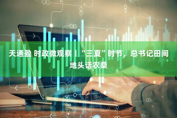 天通盈 时政微观察丨“三夏”时节，总书记田间地头话农桑