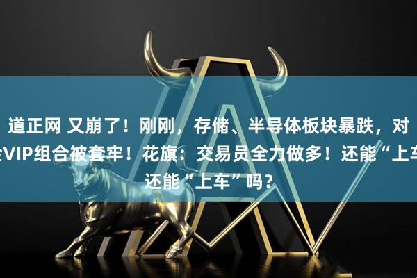 道正网 又崩了！刚刚，存储、半导体板块暴跌，对冲基金VIP组合被套牢！花旗：交易员全力做多！还能“上车”吗？