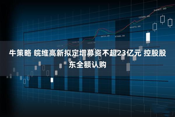 牛策略 皖维高新拟定增募资不超23亿元 控股股东全额认购